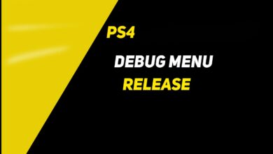 PS4 DEBUG MENU 12.00