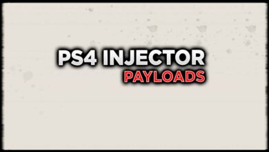PS4 INJECTOR PAYLOAD TOOL