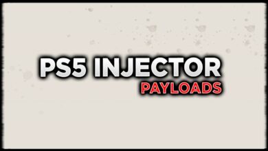 PS5 Injector Payload Tool