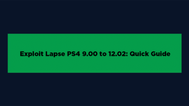 Exploit Lapse PS4 9.00 to 12.02: Quick Guide