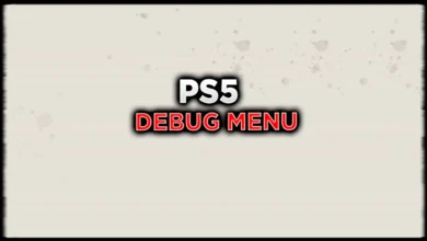 PS5 DEBUG MENU 11.60