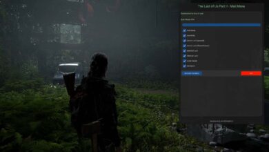 The Last of Us Part II Remastered: Mod Menu