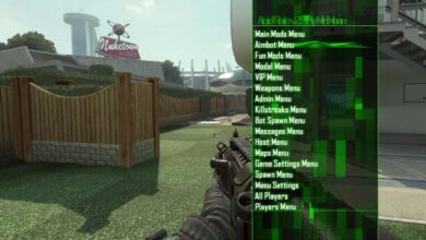 BO2 Acid Rain 2.6 Edition Mod Menu PS4/PS5