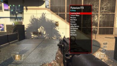 BO2 Plutonium FFA Mod Menu PS4/PS5